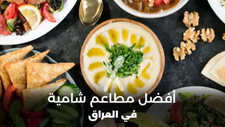 أفضل 10 مطاعم شامية في العراق 2024