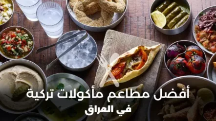 أفضل 10 مطاعم تركية في العراق 2024