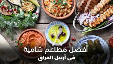 أفضل 10 مطاعم شامية في أربيل 2024