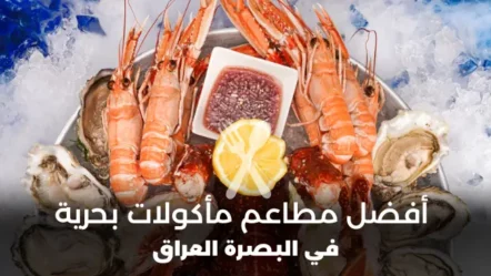 أفضل 10 مطاعم مأكولات بحرية في البصرة 2024