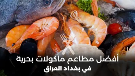 أفضل 10 مطاعم مأكولات بحرية في بغداد 2024