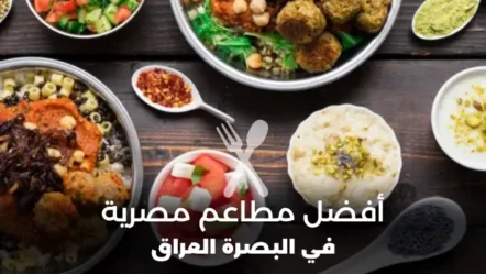 أفضل مطاعم مصرية في البصرة 2024