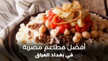 أفضل 10 مطاعم مصرية في بغداد 2024