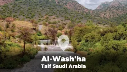 A guide to Al-Wash’ha’ in Taif, Saudi Arabia 