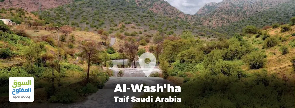 Al-Washha-Taif-Saudi-Arabia