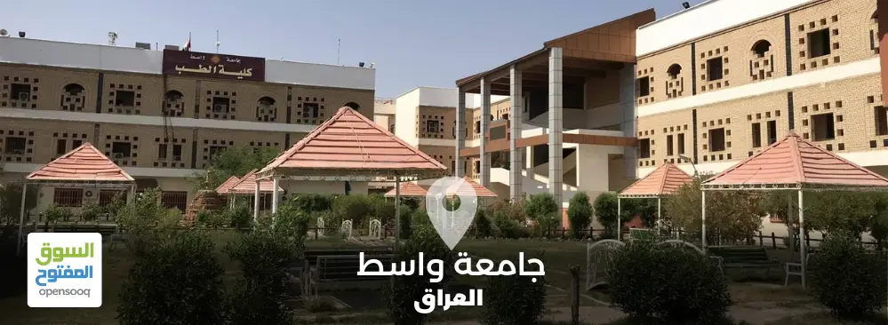 جامعة واسط في العراق