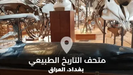 متحف التاريخ الطبيعي في بغداد