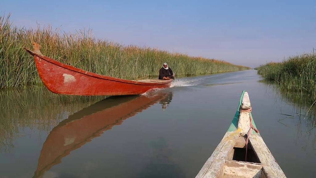 المناخ في منطقة الأهوار 