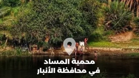 محمية المساد في محافظة الأنبار