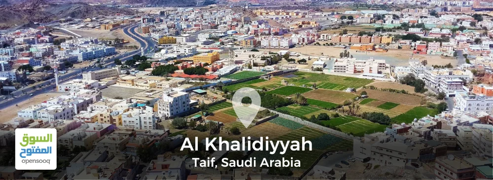 Guide to the Al Khalidiyyah Area in Taif, Saudi Arabia