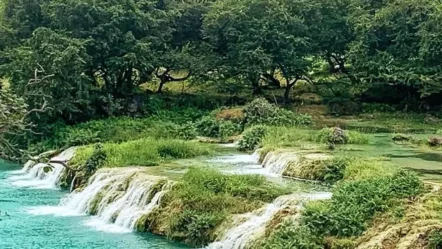 Wadi Darbat 2024: A Family Guide to Waterfalls and Lakes in Salalah