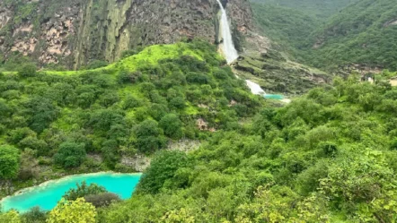 The 14 Best Things to Do in Salalah 2024