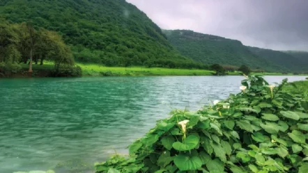 Discover Salalah’s Autumn 2024: A Tropical Paradise in the Heart of Dhofar