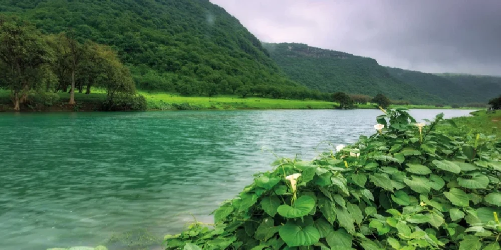 Discover Salalah's Autumn 2024: A Tropical Paradise in the Heart of Dhofar